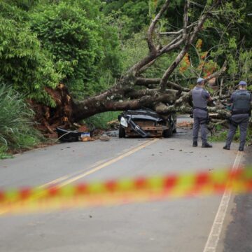 Homem morre após carro ser atingido por árvore no Cercado Grande