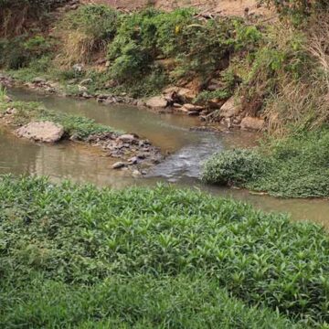 Seca: chuva no início de outubro é 96% menor