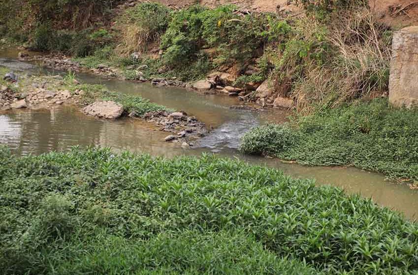 Seca: chuva no início de outubro é 96% menor