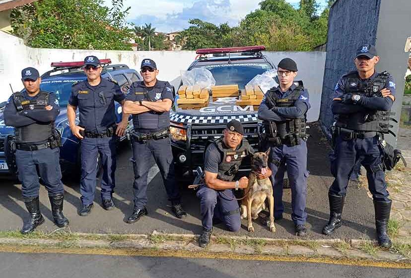 GCM apreende 24 tijolos de maconha em chácara no Barão