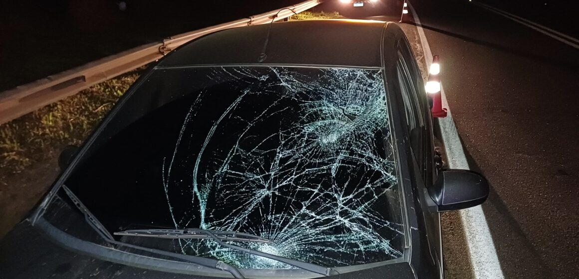 Atropelamento é registrado na Itapira/Jacutinga